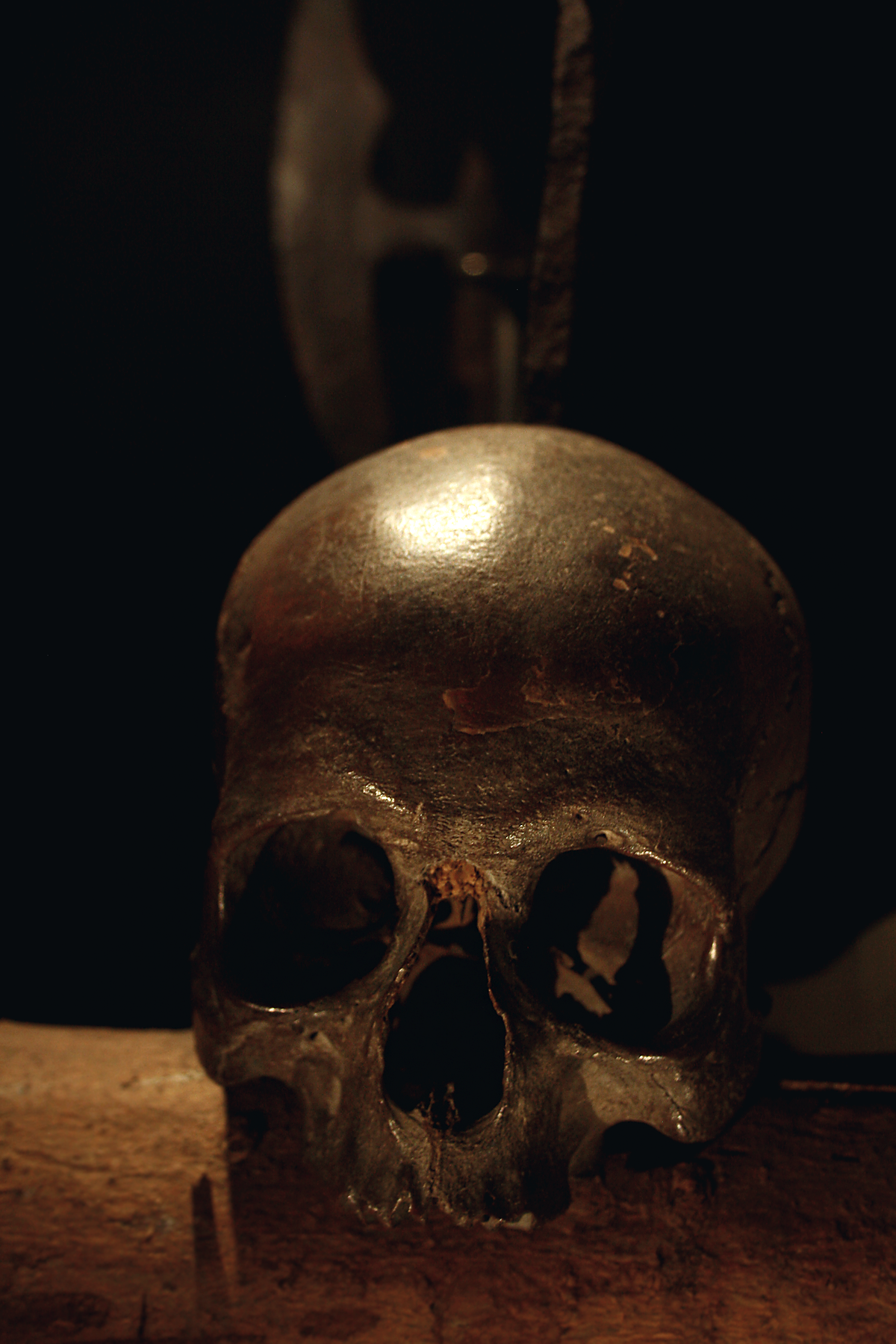 Schädel eines Piraten, Klaus Störtebeker zugeschrieben. Foto von Christian Erdmann.
